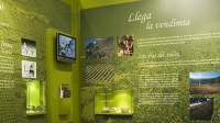 museo-del-vino-de-malaga