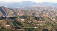 jorge-ordonez-co