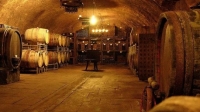 rp-vinos-espana