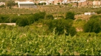perez-hidalgo