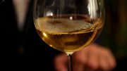 cata-de-la-panesa-de-la-bodega-emilio-hidalgo