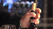 cata-de-fontedei-syrah-merlot-de-la-bodega-fonte-dei