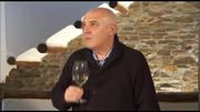 cata-de-mendez-moya-blanco-de-la-bodega-mendez-moya