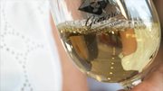 cata-de-seco-gomara-de-la-bodega-gomara