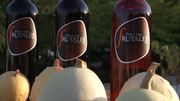 cata-de-rosado-finca-los-frutales-2010-de-la-bodega-joaquin-fernandez