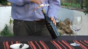 cata-de-la-donaira-syrah-tinto-de-la-bodega-mapa7g